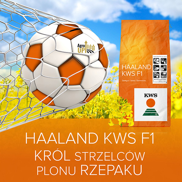 HAALAND KWS F1<